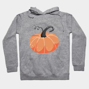 Autumn seamless pattern. Various pumpkins. Autumn Fall Season. Hoodie